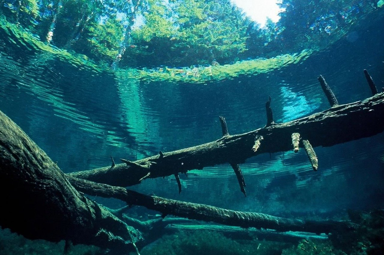 🏞️ 신의 아이 연못 (카미노코이케) 이미지 7